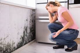 Mold Remediation for Rental Properties in Sparta, NC